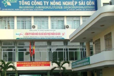 Sagri hiện sở hữu nhiều dự án sản xuất nông nghiệp quy mô lớn. Ảnh: Q. Tuấn