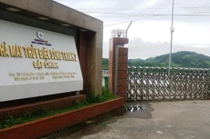 Hải Pháp trúng gói thầu nghi vấn “thỏa hiệp” giấy phép bán hàng