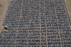 Bãi chứa xe mua lại của Volkswagen ở Victoville, California, Mỹ - Ảnh: Reuters.