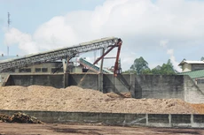 Sau khoảng 3 lần gia hạn bán đấu giá và giảm giá, đến nay, Dự án Nhà máy Bột giấy Phương Nam vẫn chưa có người mua. Ảnh: Tiên Giang