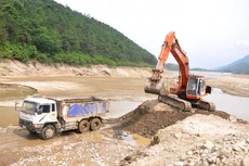 Ảnh chỉ mang tính minh họa: Internet