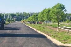 Nếu được lựa chọn trúng thầu, Nhà đầu tư sẽ được nhận lại 472 lô đất ở với giá 2,5 triệu đồng/m2 để hoàn vốn. Ảnh: st