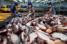 Lũy kế 6 tháng đầu năm 2018, lợi nhuận sau thuế của cổ đông của Công ty mẹ - Thủy sản Hùng Vương đang âm 264,76 tỷ đồng.