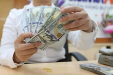 Tỷ giá USD hôm nay 4/7 được điều chỉnh nhẹ. Ảnh minh họa: BNEWS/TTXVN