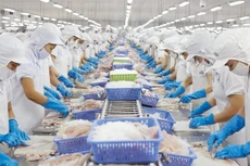 VHC trả cổ tức tiền mặt tỷ lệ 20%