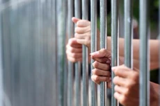 Ảnh minh họa. Ảnh Internet