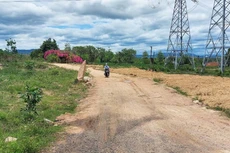 Ngày 15/4: 99 gói thầu có tỷ lệ tiết kiệm thấp