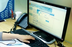 Có được sử dụng tài khoản của chi nhánh để đấu thầu qua mạng?