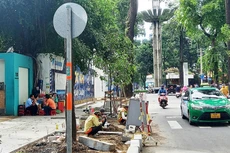 Kết quả lựa chọn nhà thầu công bố chậm ngày 28/3/2024