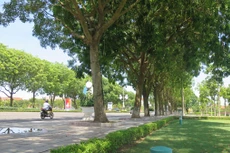Kết quả lựa chọn nhà thầu công bố chậm ngày 10/4/2024