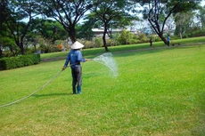 Ảnh chỉ mang tính minh họa. Nguồn Internet