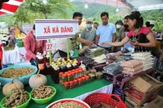 Gói thầu: Thiết kế, giàn dựng trang trí gian hàng khu trưng bày triển lãm sản phẩm Tuần lễ khởi nghiệp sáng tạo lần thứ 5 - Techfest Quảng Nam 2024