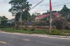 Kế hoạch lựa chọn nhà thầu công bố chậm ngày 12 - 14/4/2024