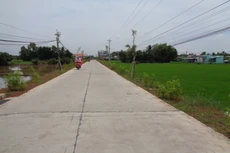 Kế hoạch lựa chọn nhà thầu công bố chậm ngày 2/5/2024