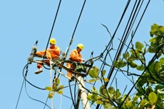 Tại các gói thầu do EVNNPC mời thầu, “bộ ba” đấu thầu tích cực hoán đổi vị thế trúng thầu và trượt thầu cho nhau.