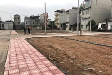 Ảnh minh họa trên internet