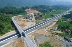 Ảnh minh họa internet