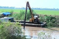 Ảnh minh họa internet