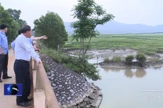 UBND tỉnh Thanh Hóa khảo sát thực địa Dự án Tiêu úng vùng III huyện Nông Cống. Ảnh: Internet 
