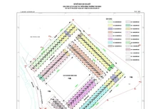 Lạng Sơn bán đấu giá 86 thửa đất tại thị trấn Nông Trường Thái Bình