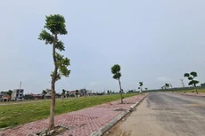 Ảnh minh họa internet