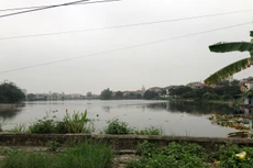 Khu đất được đưa ra đấu giá. Nguồn ảnh: Báo Giáo dục và Thời đại