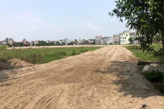 Ảnh minh họa internet