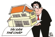 Ảnh minh họa: Internet