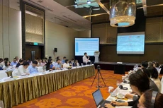 Hội thảo tham vấn ý kiến các tổ chức quốc tế, các công ty tư vấn quốc tế về dự thảo Báo cáo Quy hoạch tổng thể quốc gia thời kỳ 2021 - 2030, tầm nhìn đến năm 2050