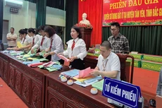 Công ty Đấu giá hợp danh Đại Dương Group đã tổ chức bán đấu giá đối với quyền sử dụng đất đối với 105 lô đất ở tại các xã Ngọc Châu, Ngọc Thiện, Ngọc Vân, Quang Trung, huyện Tân Yên, tỉnh Bắc Giang