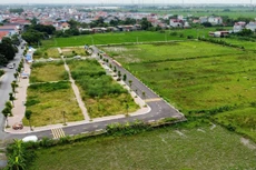 Ảnh chỉ mang tính minh họa. Nguồn Internet