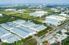 Ảnh minh họa: Internet