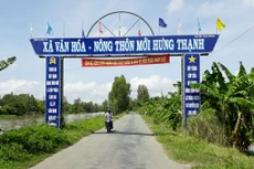 Ảnh minh họa: Internet