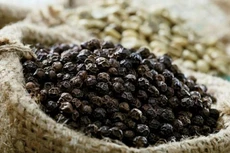 Thủ tướng chỉ đạo hỗ trợ các doanh nghiệp xuất khẩu hồ tiêu sang thị trường UAE