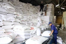 Xuất cấp gạo cho 7 tỉnh dịp Tết Nguyên đán Quý Mão và giáp hạt năm 2023.