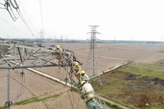 Ảnh chỉ mang tính minh họa. Nguồn Internet