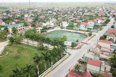 Ảnh chỉ mang tính minh họa. Nguồn Internet