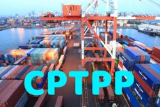 Hiệp định CPTPP chính thức có hiệu lực đối với Malaysia vào tháng 11/2022, với Chile vào tháng 2/2023 và Brunei vào tháng 7/2023