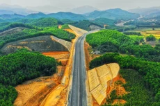 Ảnh chỉ mang tính minh họa. Nguồn Internet