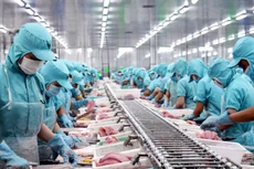 Kinh tế thế giới có những biến động nhanh, mạnh, khó lường với nhiều khó khăn, thách thức đã tác động bất lợi đến kinh tế Việt Nam. Ảnh chỉ mang tính minh họa. Nguồn Internet