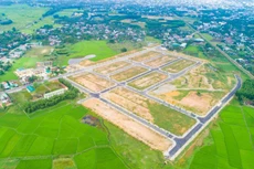 Ảnh chỉ mang tính minh họa. Nguồn Internet