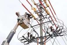 Ảnh chỉ mang tính minh họa. Nguồn Internet