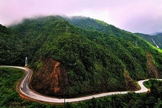 Ảnh chỉ mang tính minh họa. Nguồn Internet