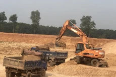 Ảnh chỉ mang tính minh họa. Nguồn Internet