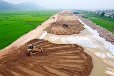 Ảnh chỉ mang tính minh họa. Nguồn Internet