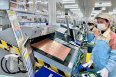 Ảnh chỉ mang tính minh họa. Nguồn Internet