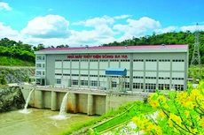 Ảnh chỉ mang tính minh họa. Nguồn Internet