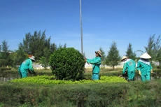 Mong muốn Nhà nước có đơn giá định mức hợp lý hơn đối với DN dịch vụ công ích, thanh toán thường xuyên và kịp thời cho nhà thầu