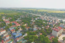 Ảnh chỉ mang tính minh họa. Nguồn Internet