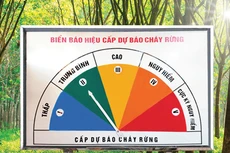 Cần có biện pháp mạnh trong việc xử lý những cá nhân, tổ chức làm hàng giả, hàng nhái đưa vào các gói thầu